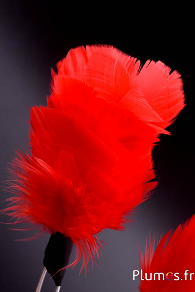 Plumet dinde avec anneau -  hauteur 15 cm - rouge